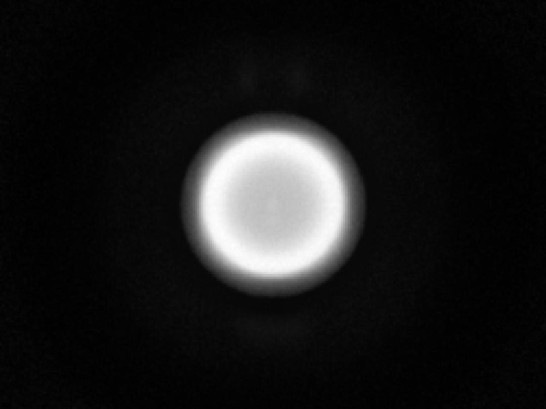 optic-10627-Cree-XQ-E-Plus-HD-White-spot-image.jpg