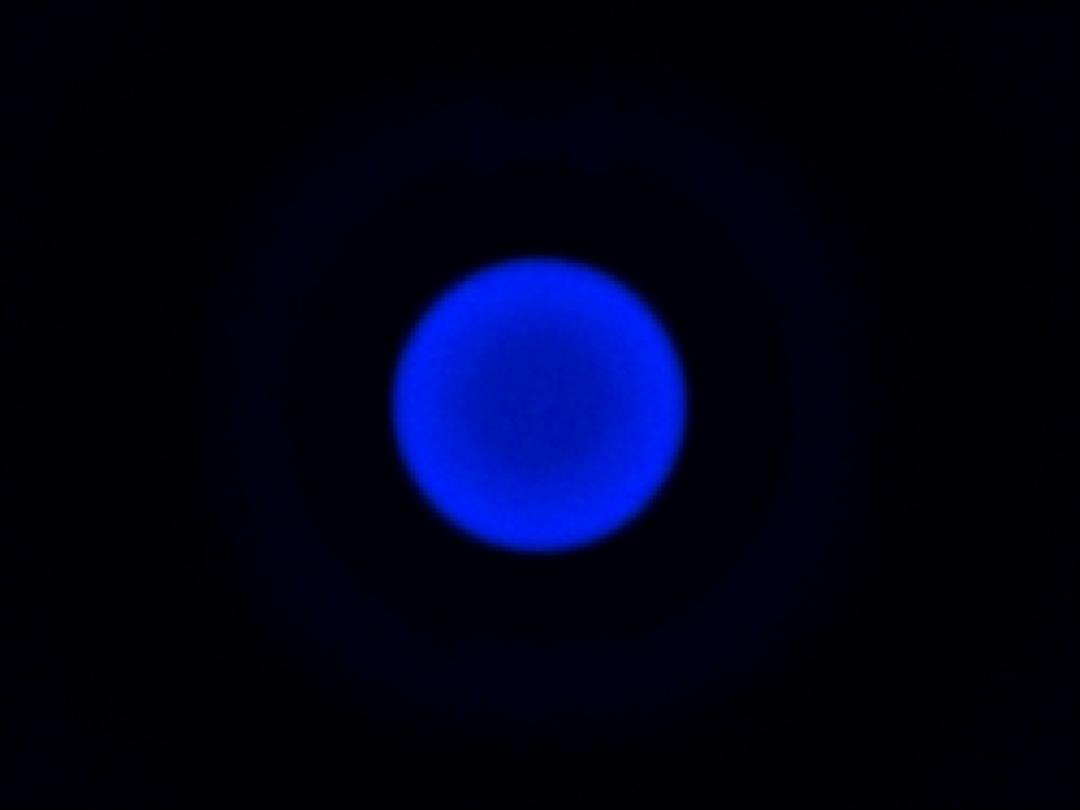 optic-10627-Cree-XQ-E-Plus-HI-Blue-spot-image.jpg