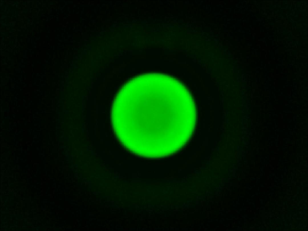 optic-10627-Cree-XQ-E-Plus-HI-Green-spot-image.jpg