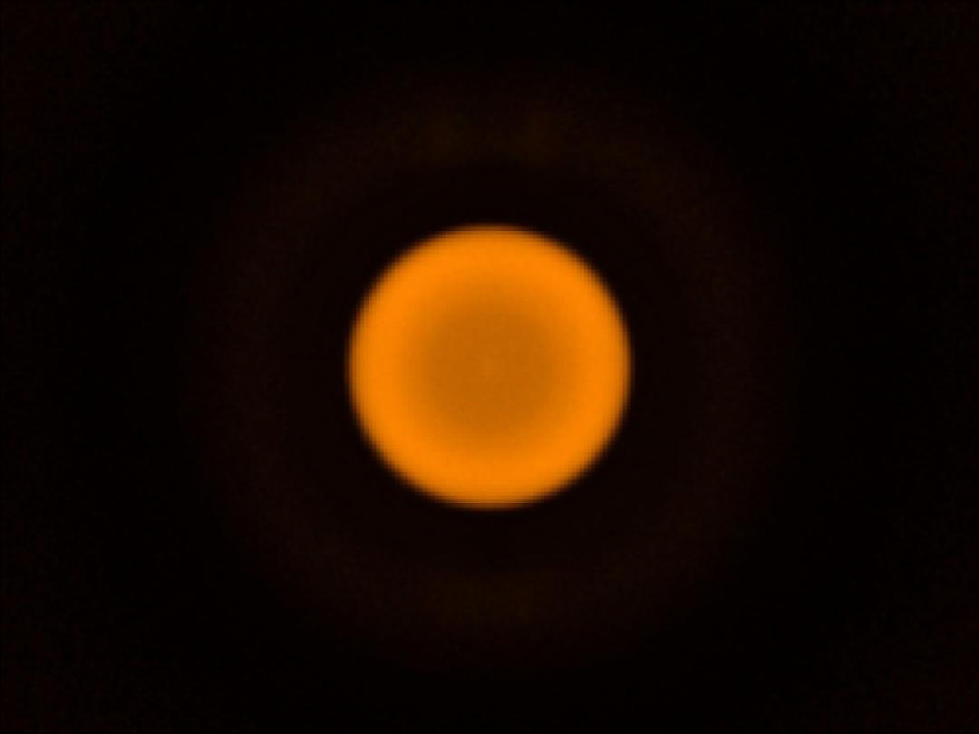 optic-10627-Cree-XQ-E-Plus-HI-PCAmber-spot-image.jpg