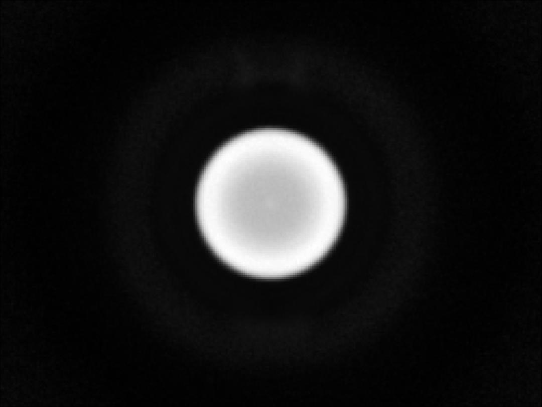 optic-10627-Cree-XQ-E-Plus-HI-White-spot-image.jpg