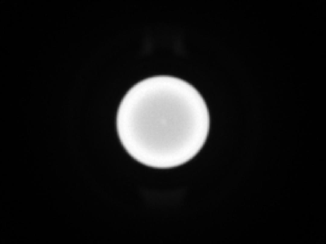 optic-10627-Cree_XP-GR-spot-image.jpg