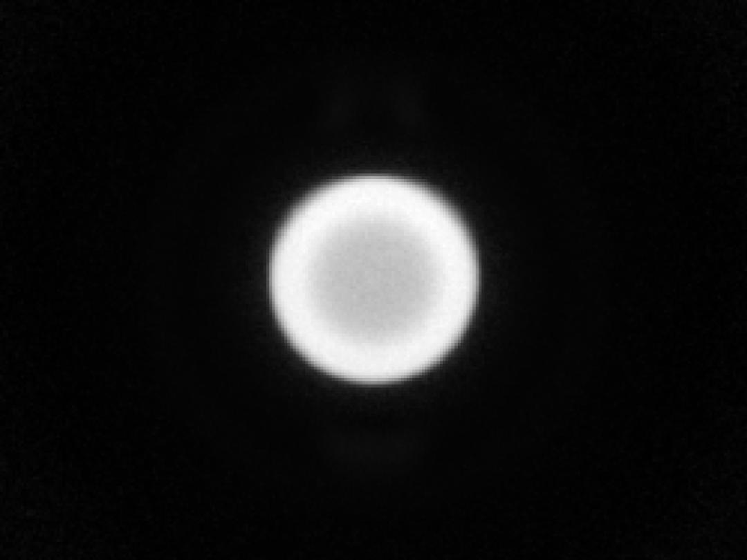optic-10627-Luminus-SST-20-WS-Gen2-spot-image.jpg