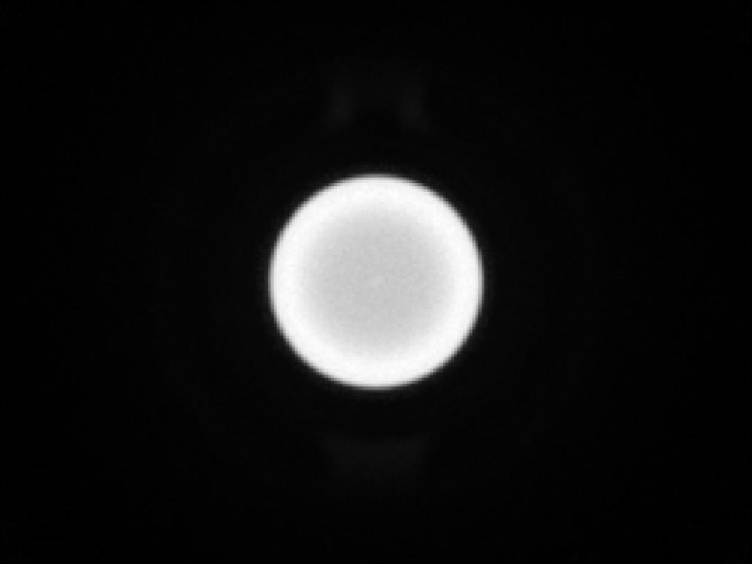 optic-10627-Luminus_SFT-12R-WES-F-spot-image.jpg