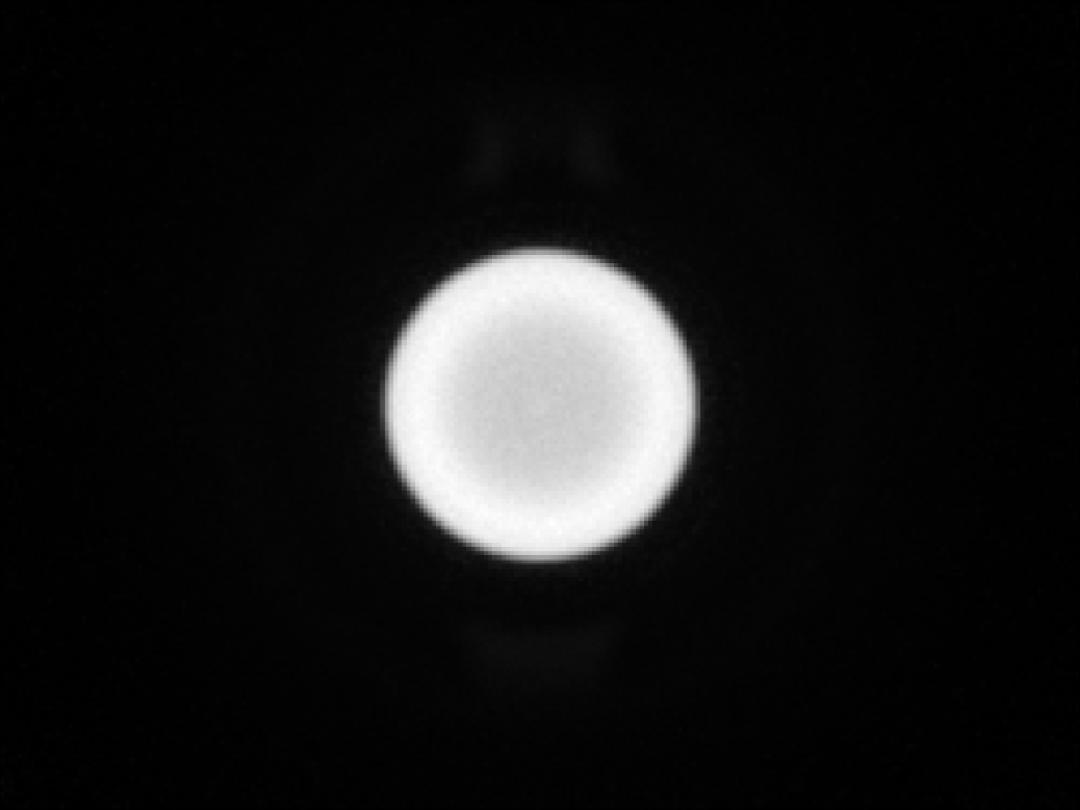 optic-10627-Luminus_SFT-25R-WES-F-spot-image.jpg