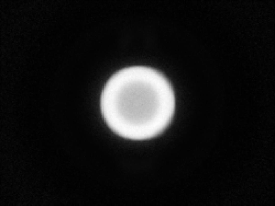 optic-10627-Luminus_SST-25-W-spot-image.jpg