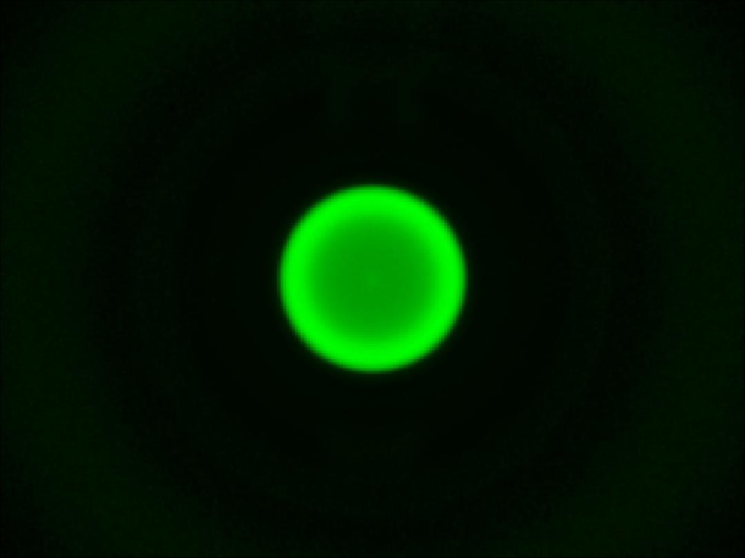 optic-10627-Luxeon-HL1Z-Green-spot-image.jpg