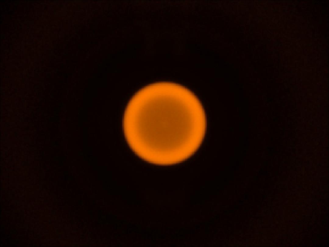 optic-10627-Luxeon-HL1Z-PC-Amber-spot-image.jpg