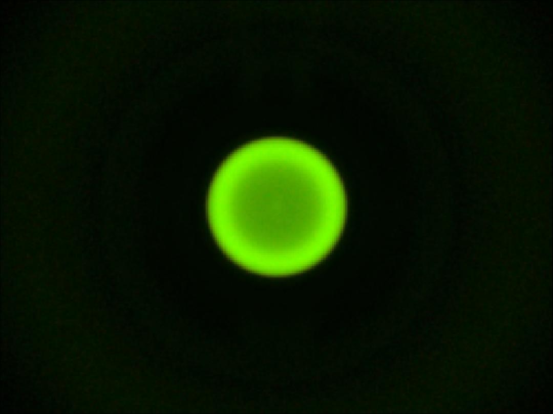 optic-10627-Luxeon-HL1Z-PC-Green-spot-image.jpg