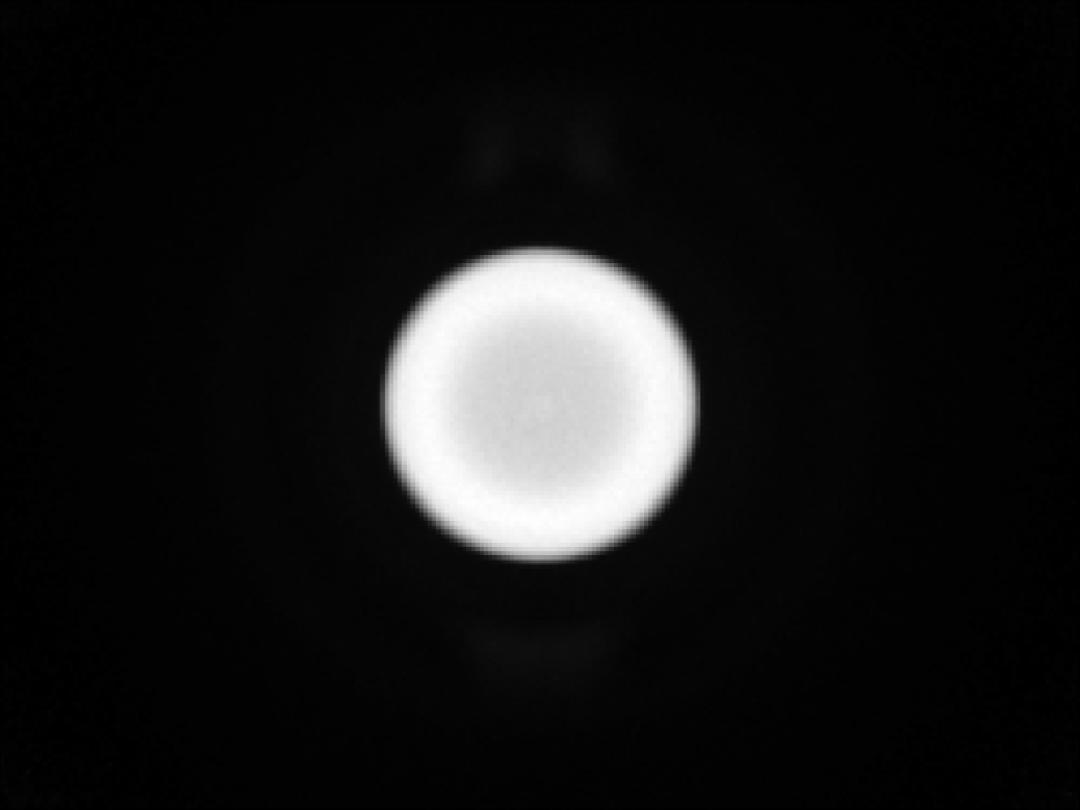 optic-10627-Nichia-NVSW219GF-spot-image.jpg