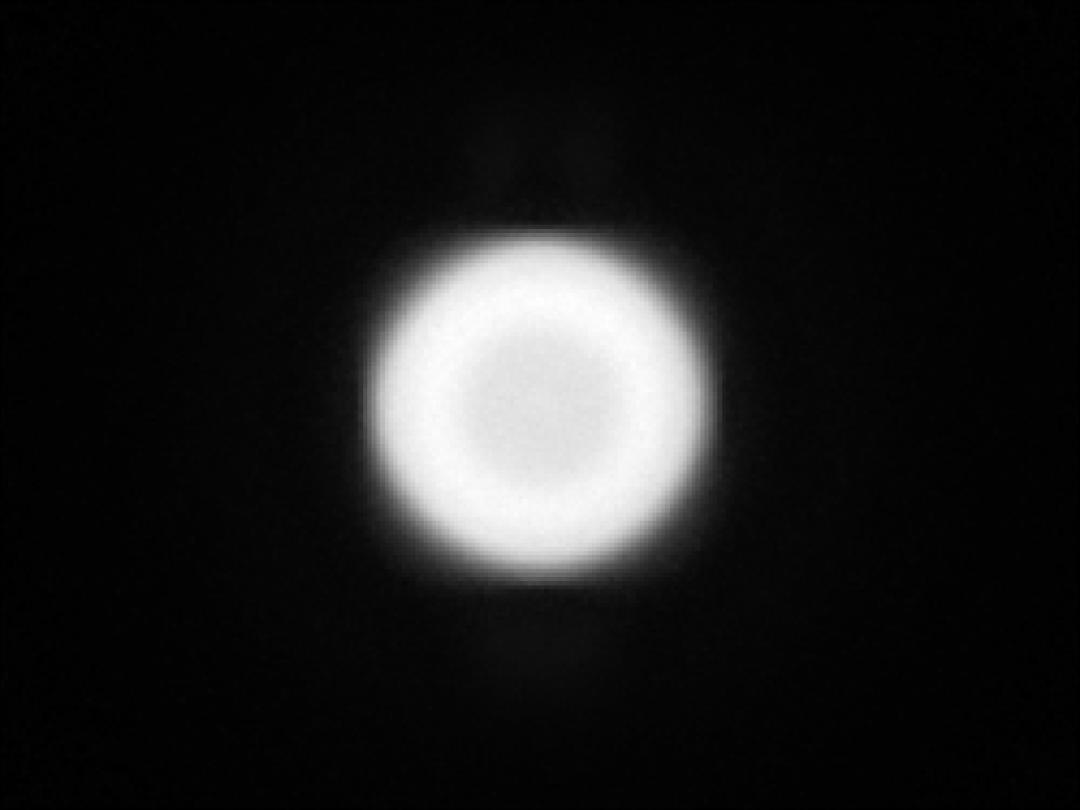 optic-10627-Nichia-NVSW219GL-spot-image.jpg