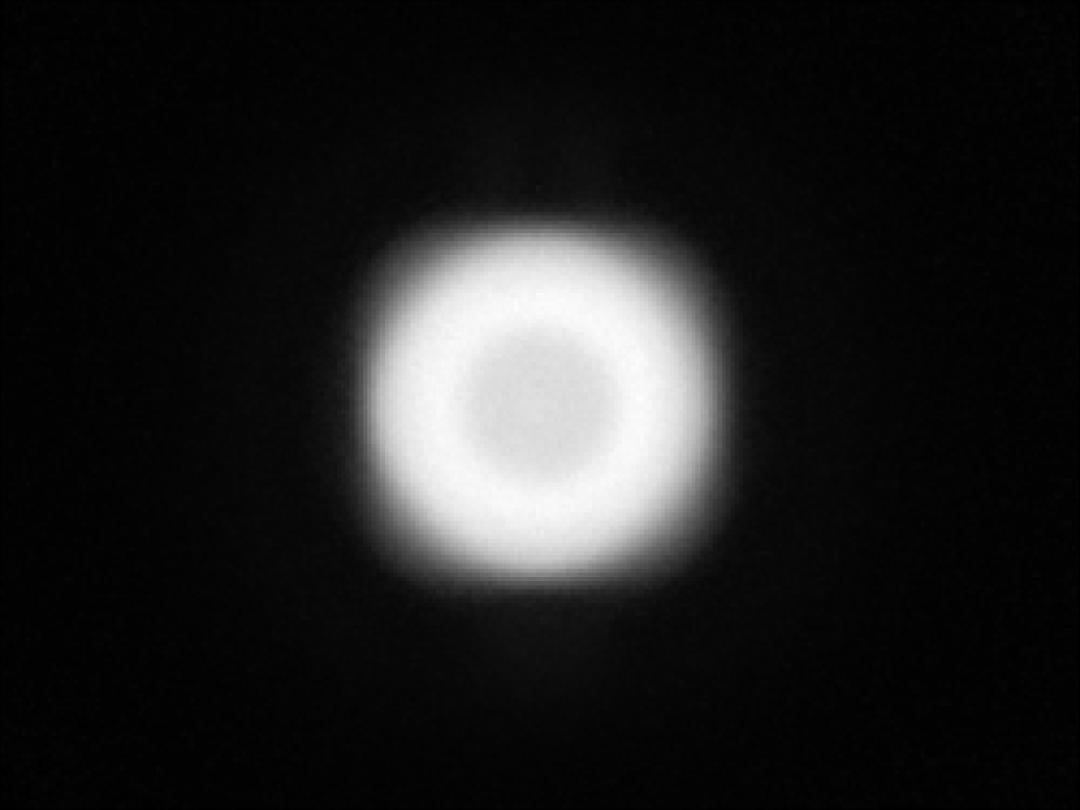 optic-10627-Nichia-NVSW519A-V1-spot-image.jpg