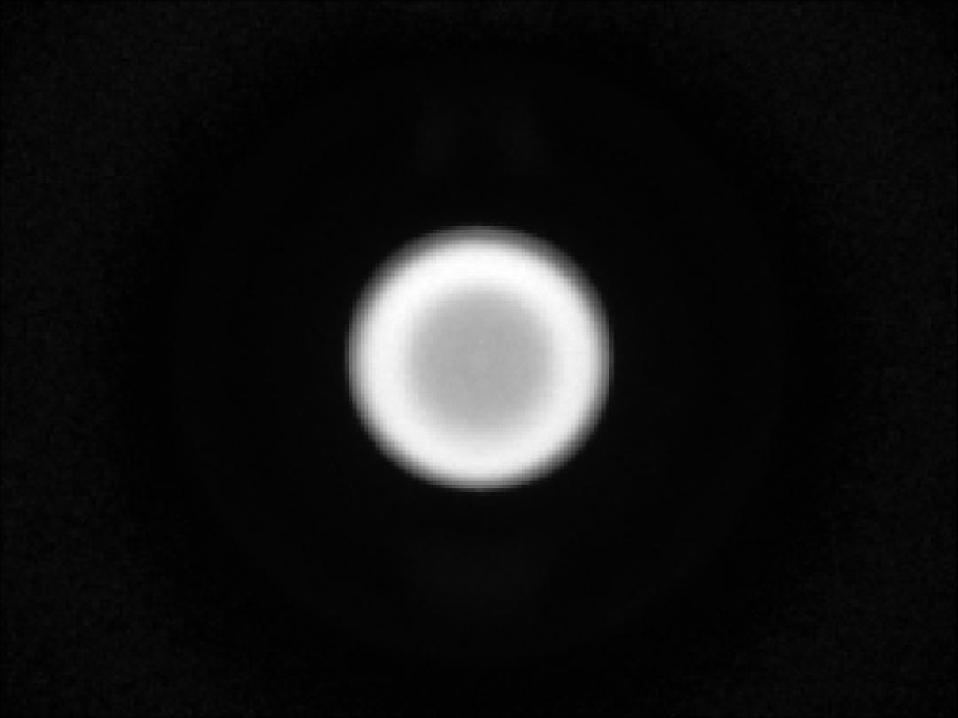 optic-10627-OSCONIQ_E3030-spot-image.jpg