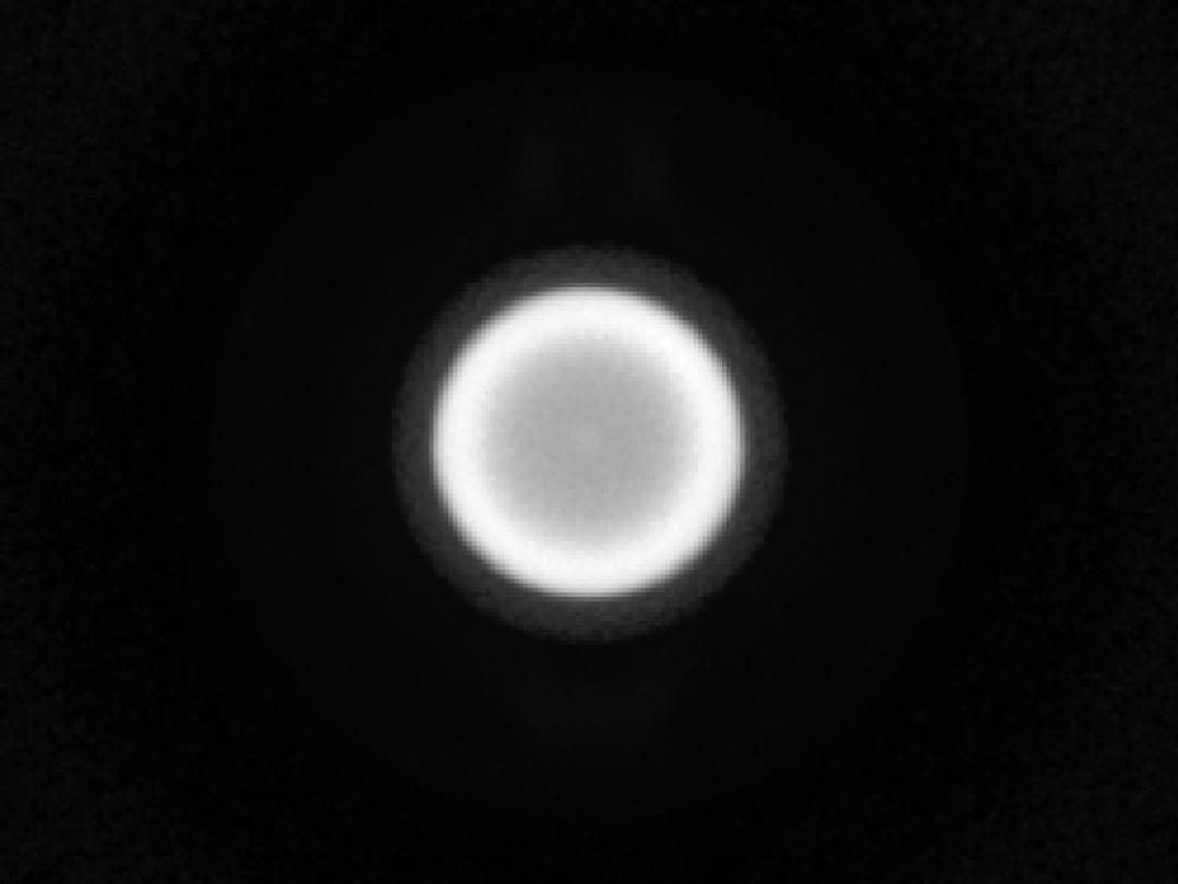 optic-10627-OSCONIQ_P3030-spot-image.jpg
