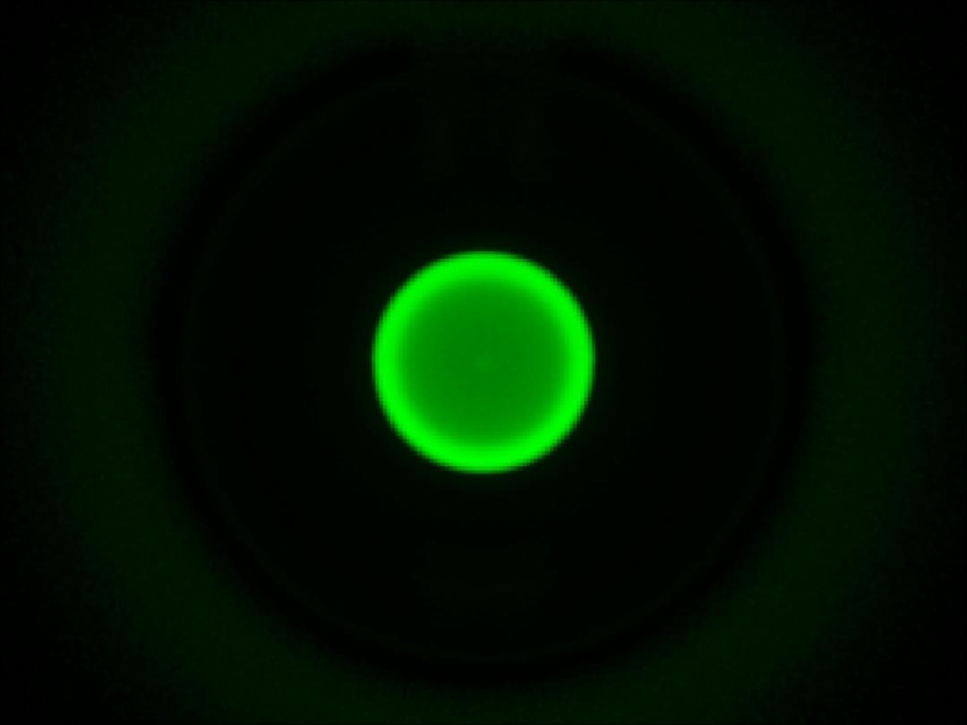 optic-10627-Oslon_Pure_1010_True_Green-spot-image.jpg