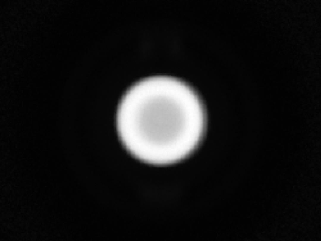 optic-10627-Samsung_LM282B+-spot-image.jpg