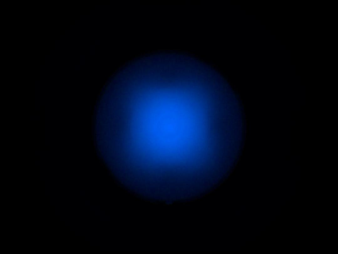 optic-10628-Cree-XQ-A-PCBlue-spot-image.jpg