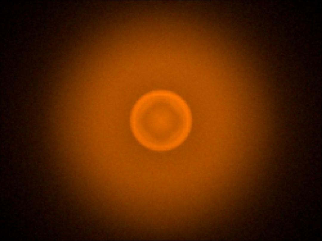 optic-10785-Luxeon-HL1Z-PC-Amber-spot-image.jpg