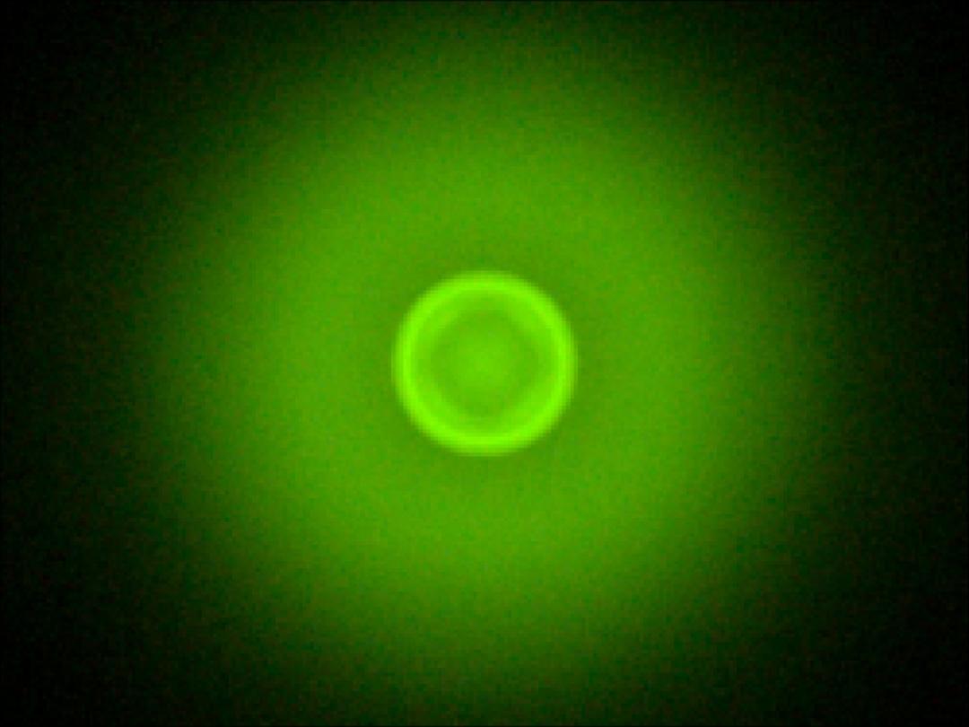 optic-10785-Luxeon-HL1Z-PC-Green-spot-image.jpg