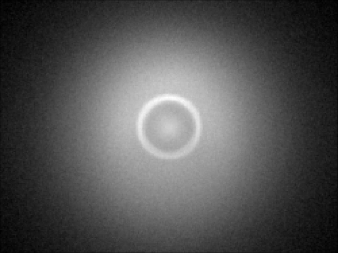 optic-10785-OSCONIQ_E3030-spot-image.jpg