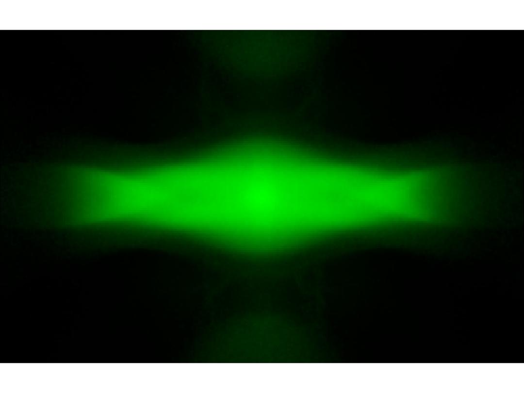 optic-12763-Cree-XQ-E-Plus-HD-Green-spot-image.jpg