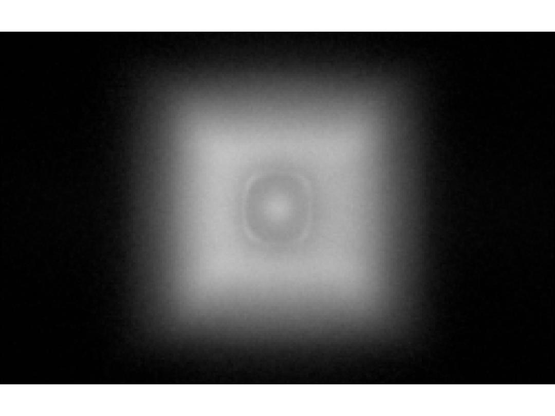 optic-12779-Cree-JB2835B-GPro9-spot-image.jpg