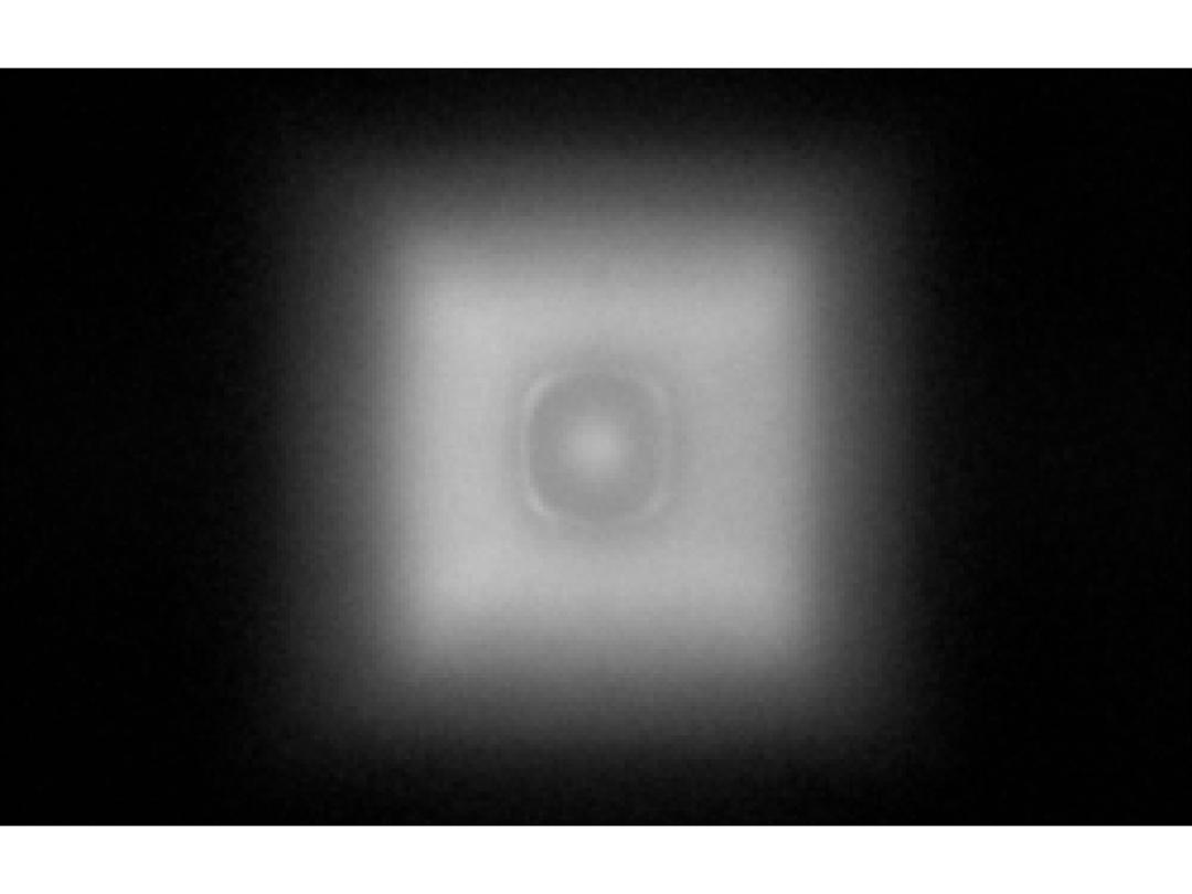 optic-12779-Cree-JK2835B-9V-U-spot-image.jpg