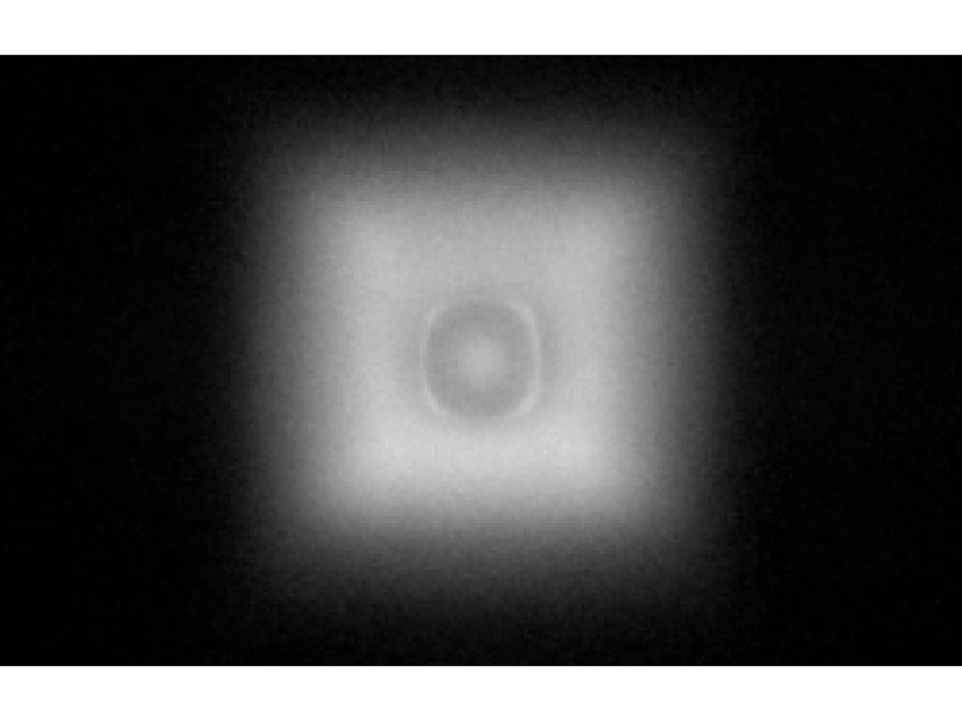 optic-12779-Cree_JK2835-6V-spot-image.jpg