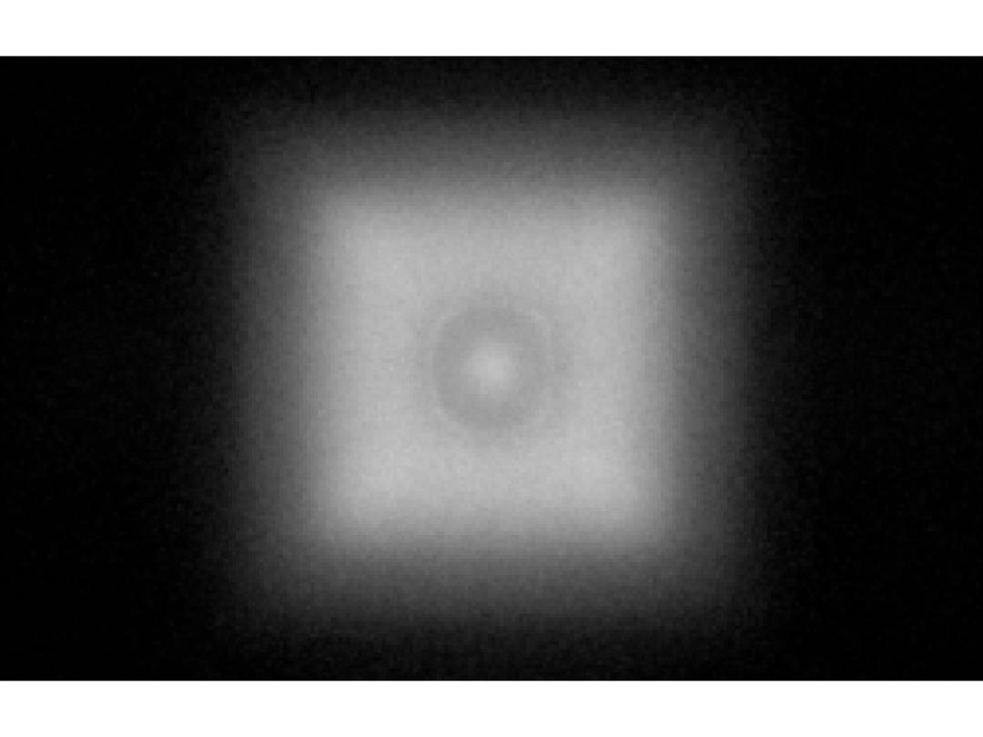 optic-12779-Luminus-MP-3030-11F2-spot-image.jpg