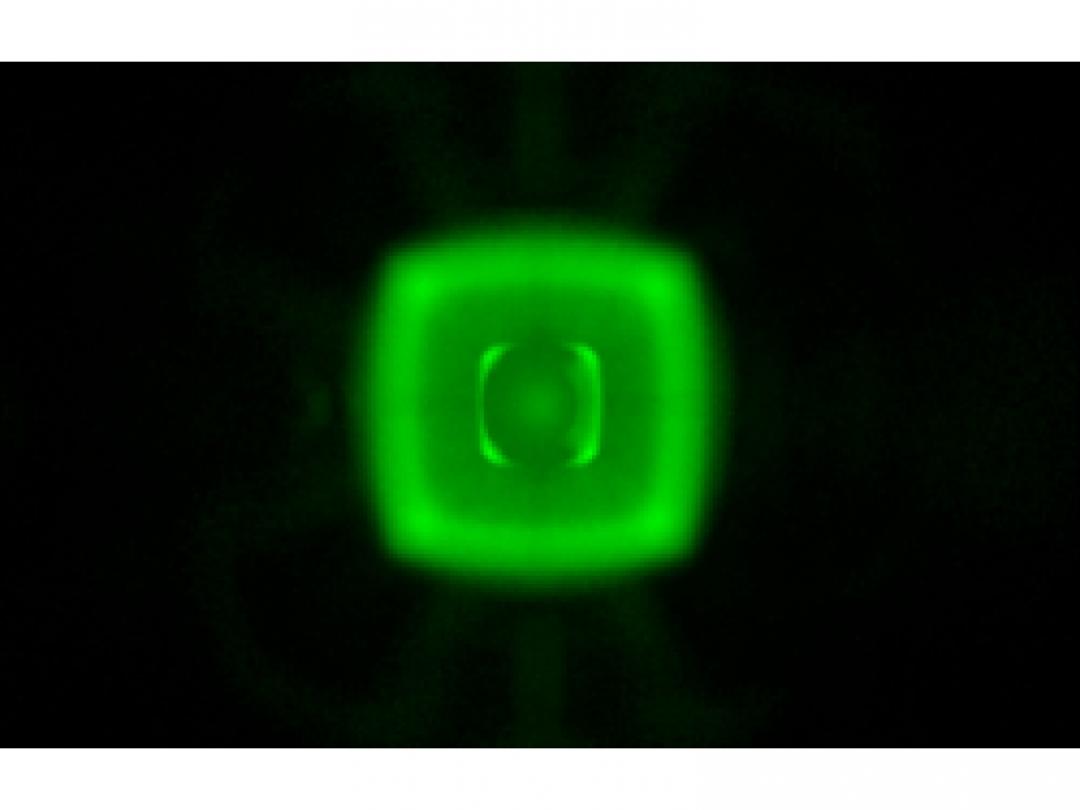 optic-12779-Oslon_Pure_1010_True_Green-spot-image.jpg