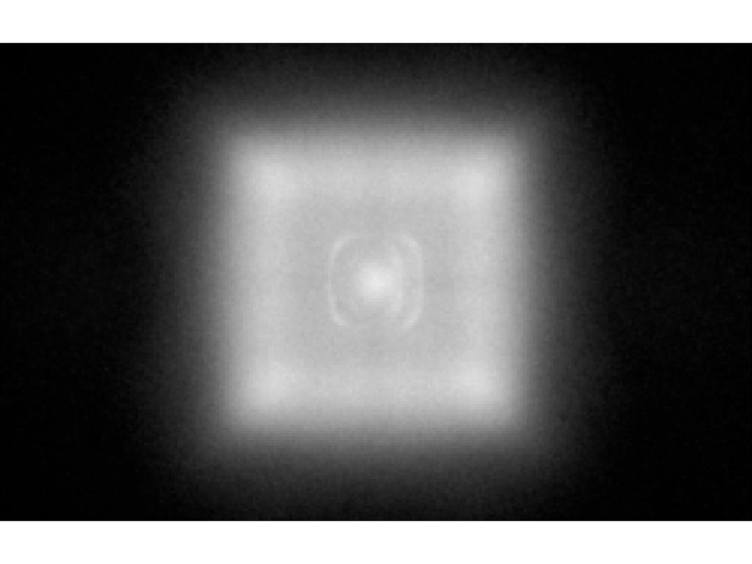 optic-12780-Cree-XQ-E-Plus-HI-White-spot-image.jpg