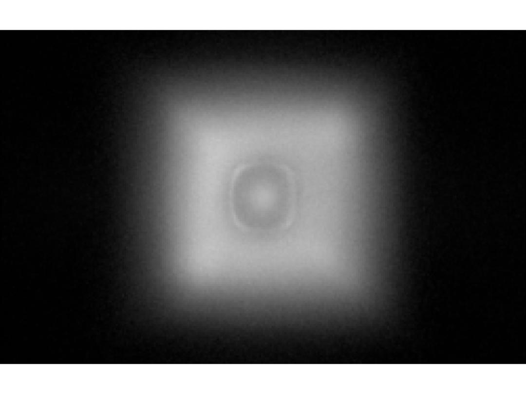 optic-12781-Cree-JK2835B-6V-W-spot-image.jpg