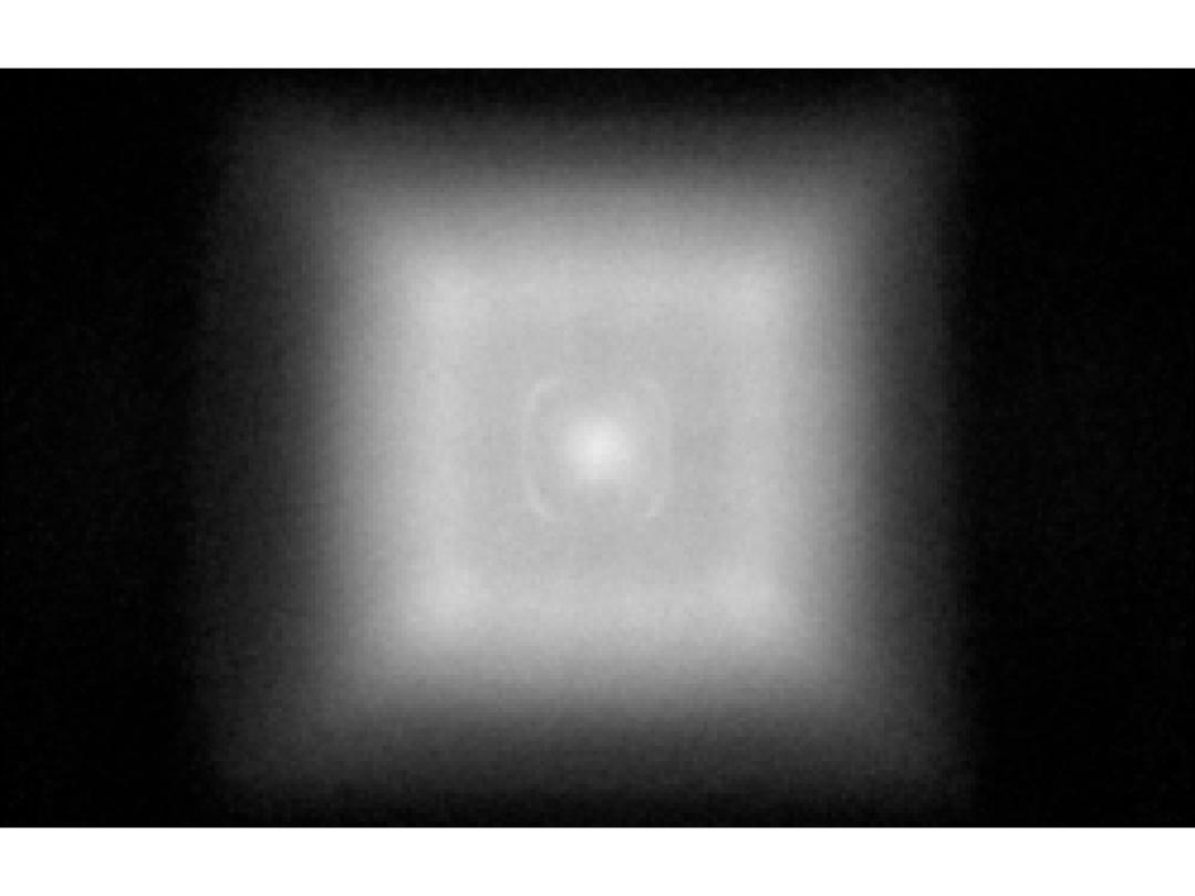 optic-12781-Cree-XQ-E-Plus-HD-White-spot-image.jpg