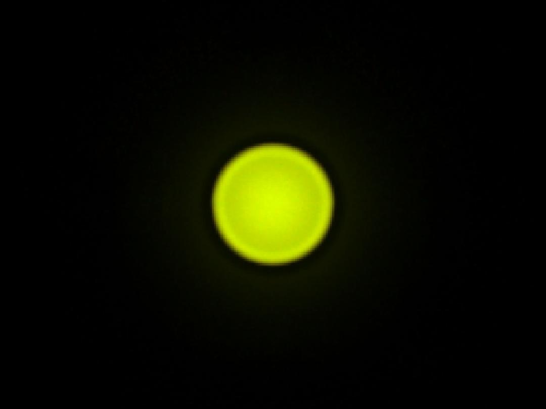 optic-12815-Oslon_Pure_1010_PC_Green-spot-image.jpg