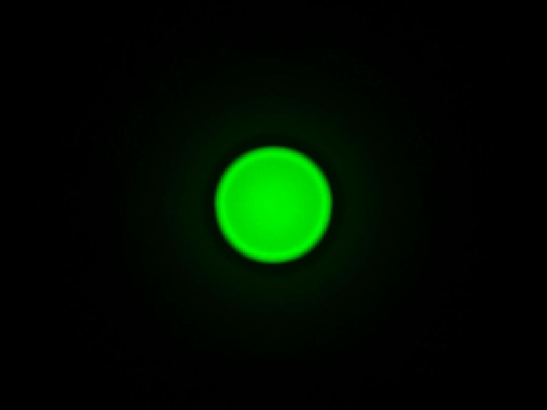 optic-12815-Oslon_Pure_1010_True_Green-spot-image.jpg
