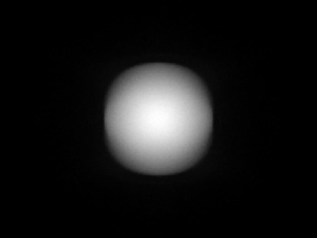 optic-12913-Nichia-NVSW219GL-spot-image.jpg
