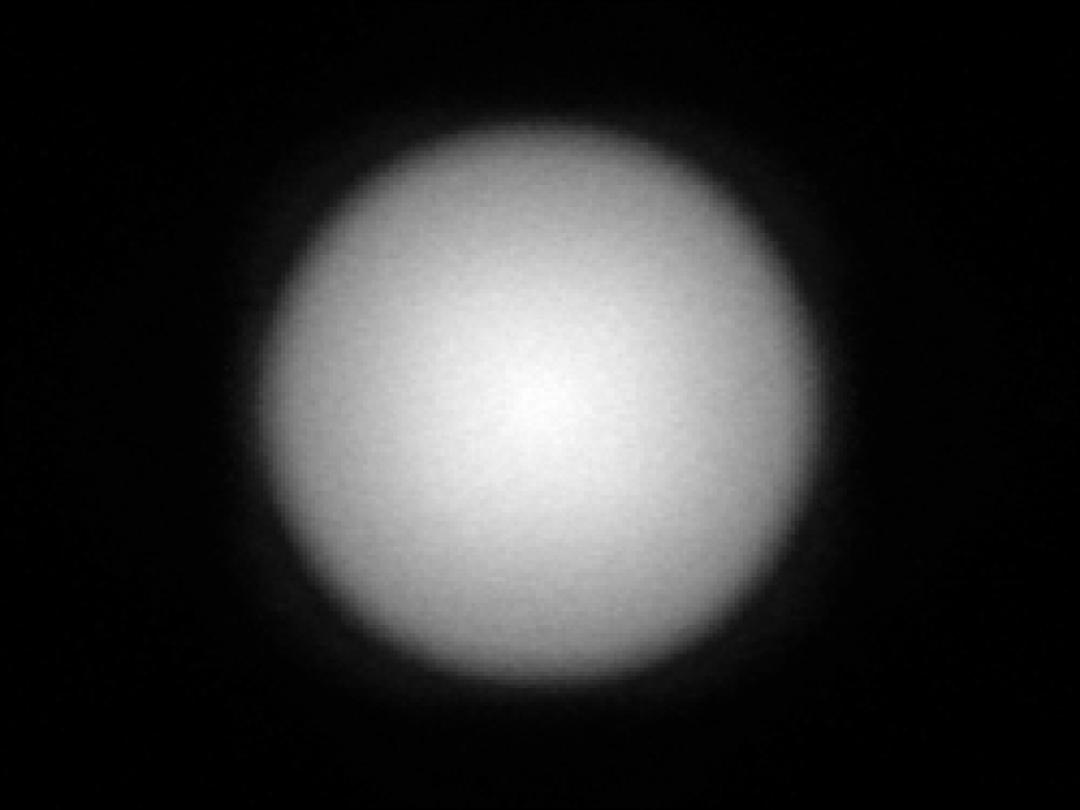 optic-12927-BLK-Nichia-NVSW219GF-spot-image.jpg
