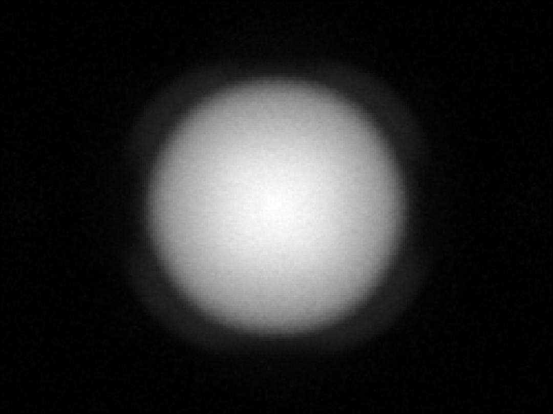 optic-12927-BLK-Nichia-NVSWE21A-V1-spot-image.jpg