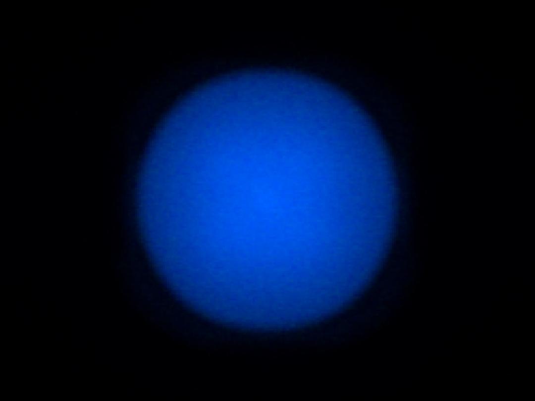 optic-12927-BLK-Oslon_Pure_1414_Blue-spot-image.jpg