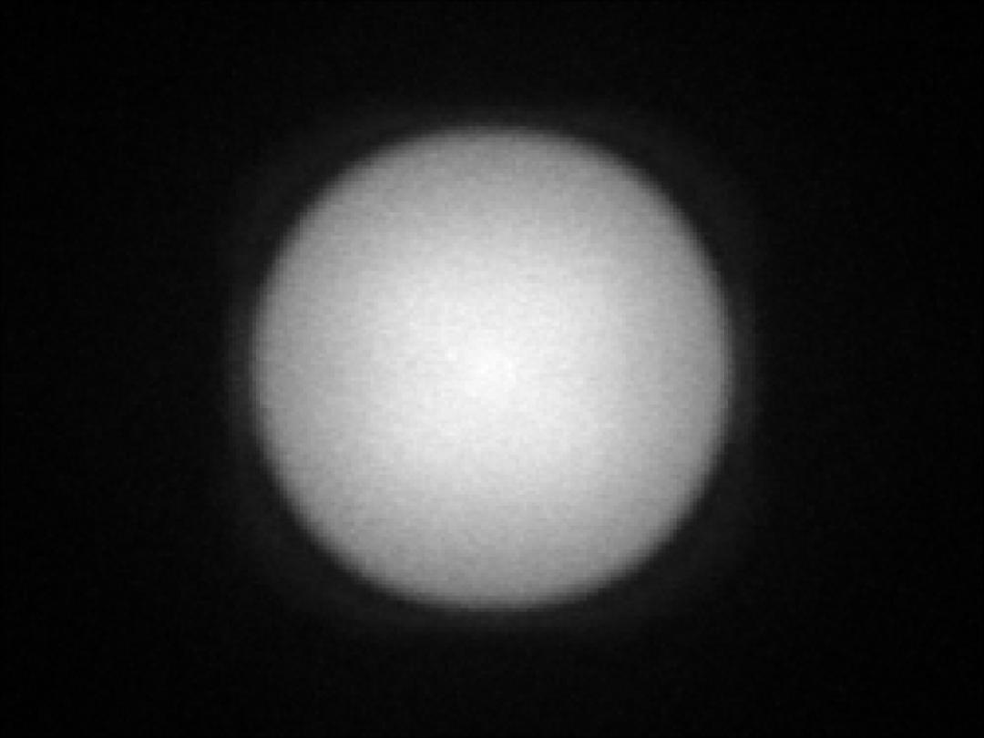 optic-12927-WHT-Luminus_SFT-12R-WES-A-spot-image.jpg