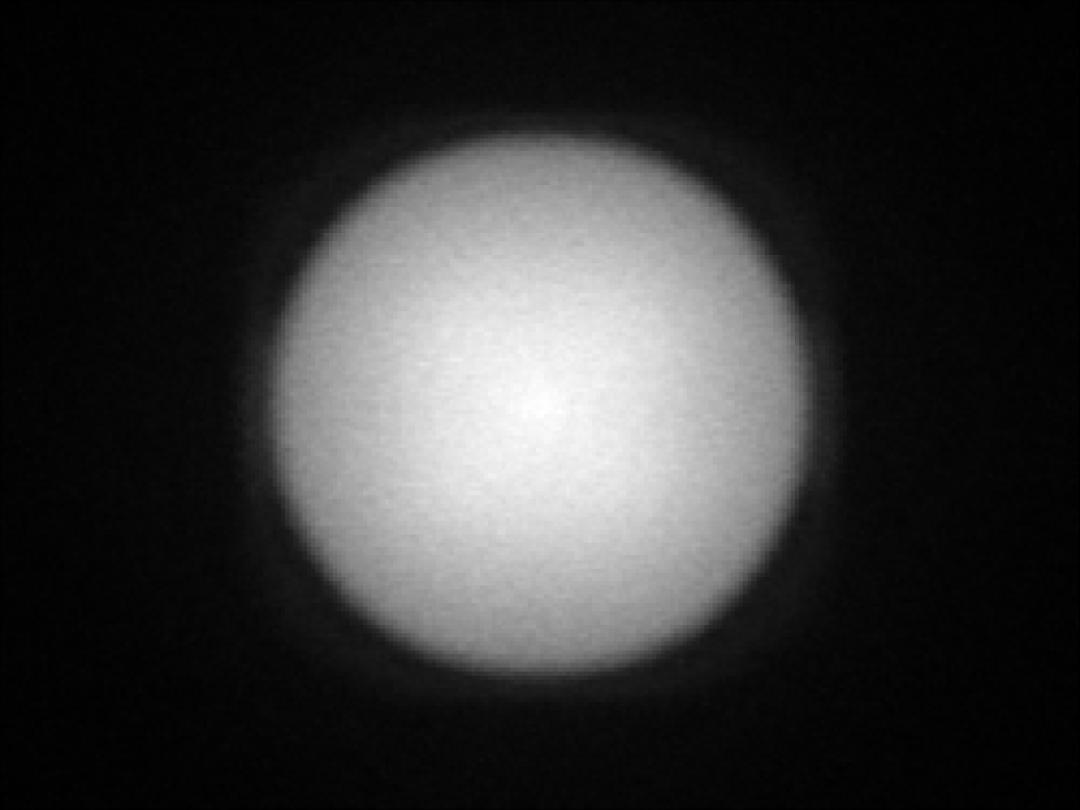 optic-12927-WHT-Luminus_SFT-12R-WES-F-spot-image.jpg