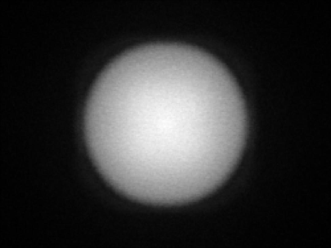 optic-12927-WHT-Luminus_SFT-25R-WES-A-spot-image.jpg