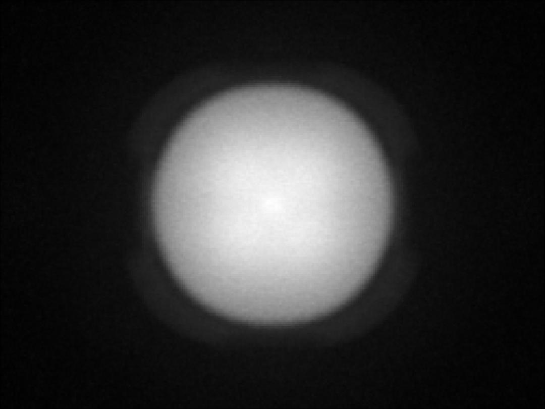 optic-12927-WHT-Nichia-NFSWE11A-V1-spot-image.jpg