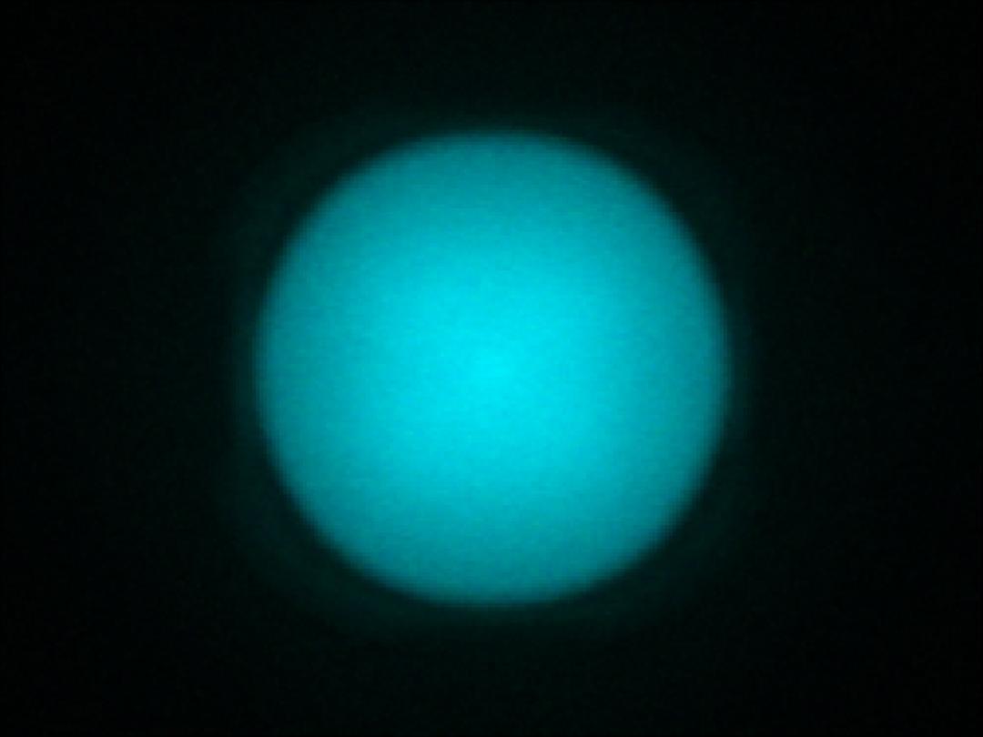 optic-12927-WHT-Oslon_Pure_1414_Cyan-spot-image.jpg