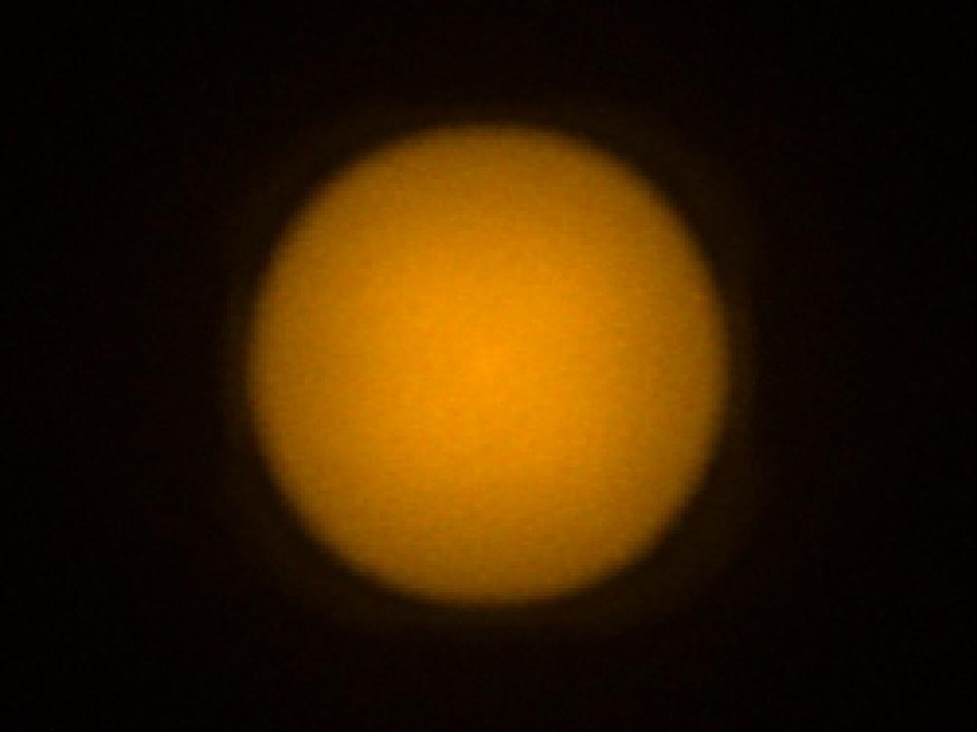 optic-12927-WHT-Oslon_Pure_1414_Yellow-spot-image.jpg