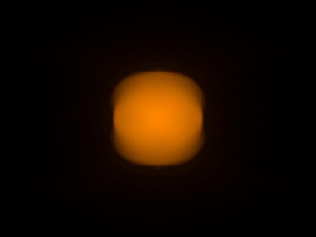 optic-12969-Cree-XQ-E-Plus-HI-PCAmber-spot-image.jpg