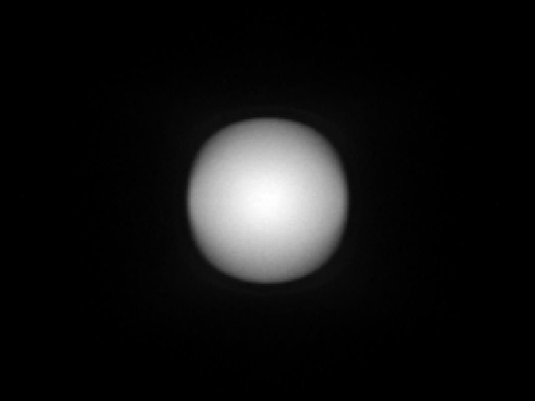 optic-12969-Nichia-NVSW219GL-spot-image.jpg