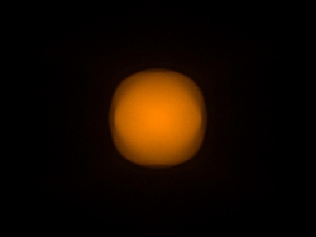 optic-12970-Cree-XQ-E-Plus-HD-PCAmber-spot-image.jpg