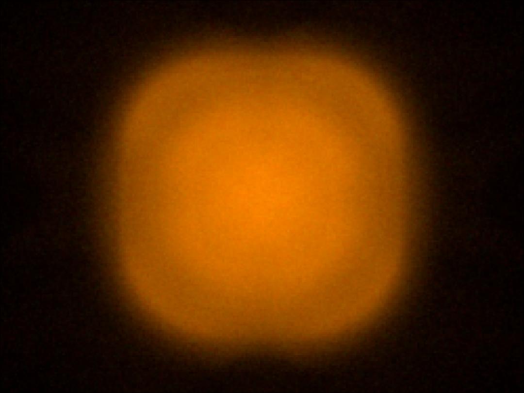 optic-60160-Cree-XQ-E-Plus-HI-PCAmber-spot-image.jpg