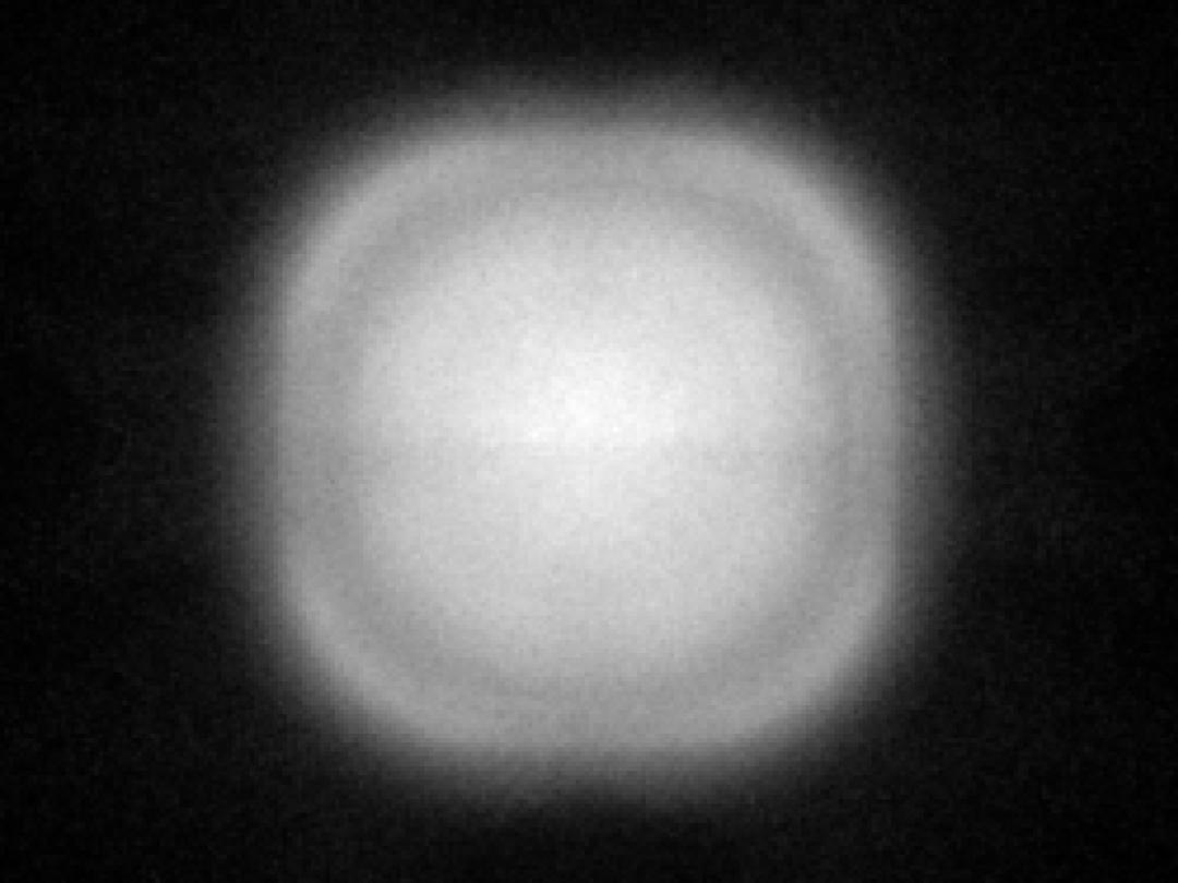 optic-60160-Cree-XQ-E-Plus-HI-White-spot-image.jpg